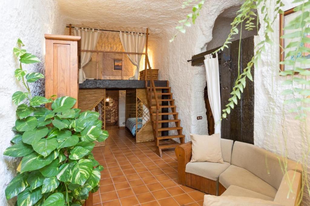 Live Socorro Cave Villa Güimar Eksteriør bilde